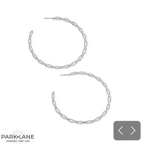 Wrangler Earrings Silver